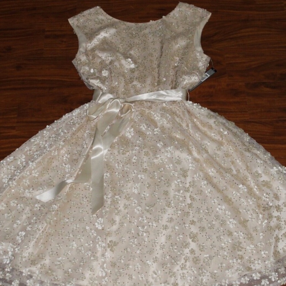 NWT Tahari Arthur S. Levine Floral Applique Gown Wedding Prom Bridesmaid Sz 14